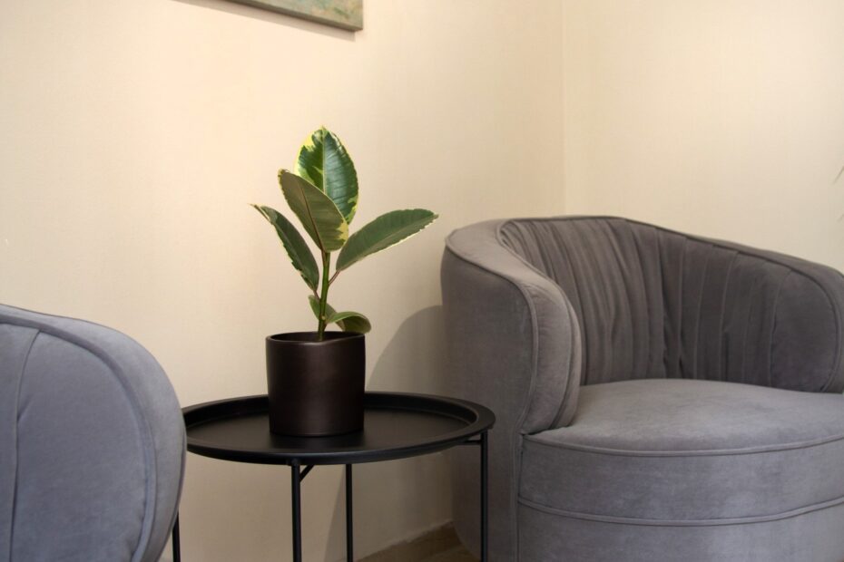 Το γραφείο Βίκη Παππά - Ψυχολόγος